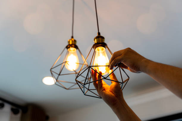 Best Electric Panel Repair  in Victory Lakes, NJ